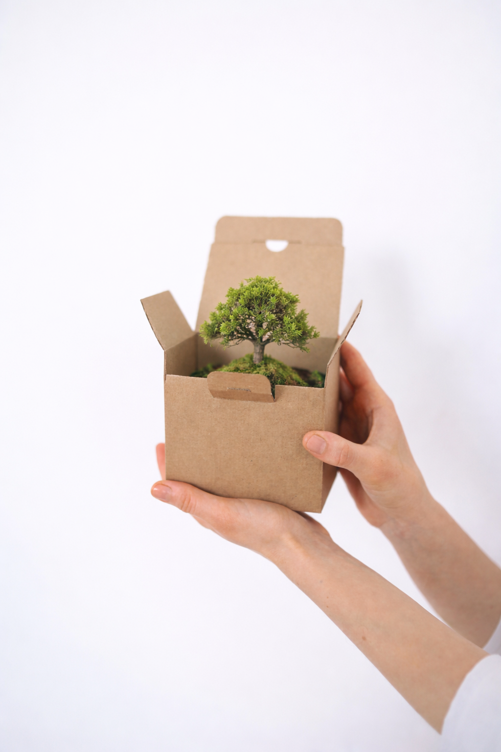 Thực Hành Bền Vững